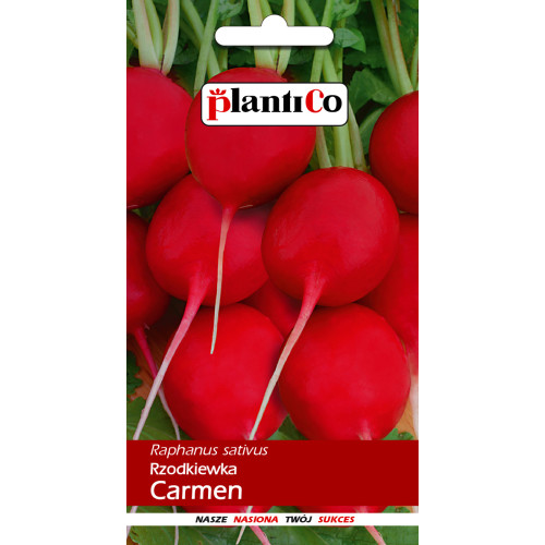 RZODKIEWKA CARMEN