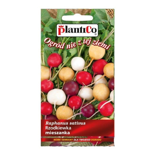 RZODKIEWKA OKRĄGŁA MIX