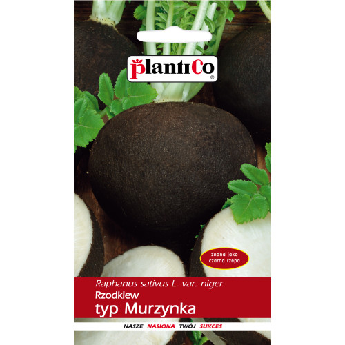 RZODKIEWKA RUNDER SCHWARZER WINTER
