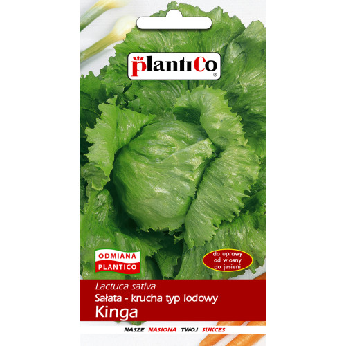 SAŁATA KINGA LODOWA KRUCHA