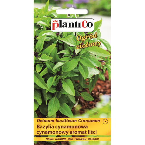 BAZYLIA CYNAMONOWA