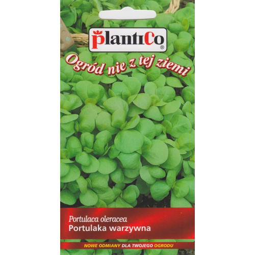 PORTULAKA WARZYWNA