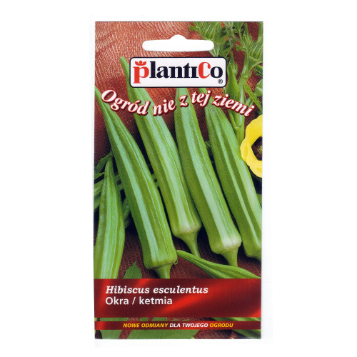 OKRA , KETMIA JADALNA