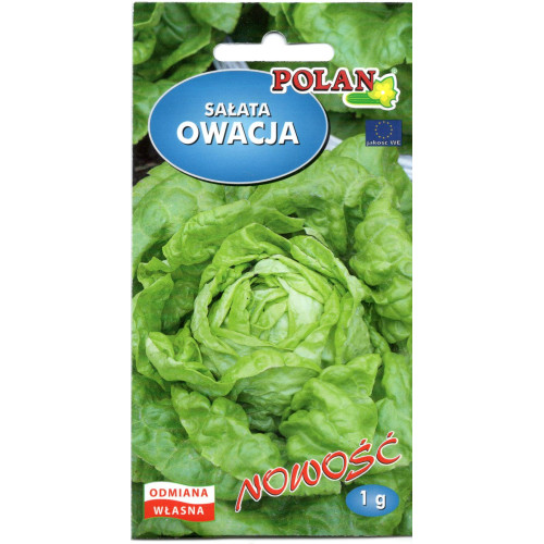SAŁATA OWACJA