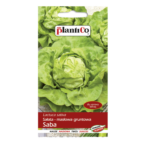 Sałata masłowa gruntowa Saba 1g PlantiCo