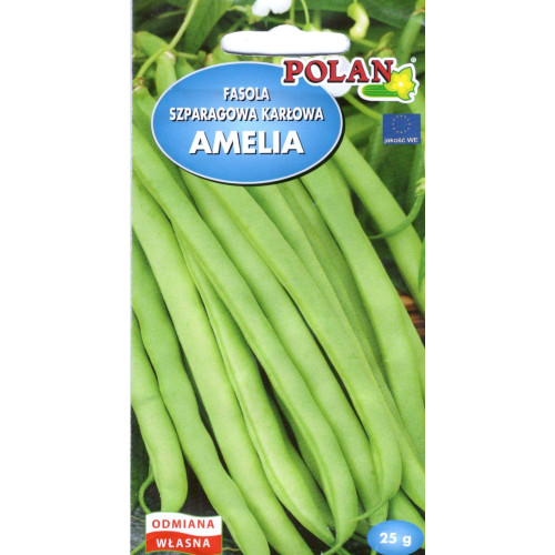 FASOLA AMELIA 