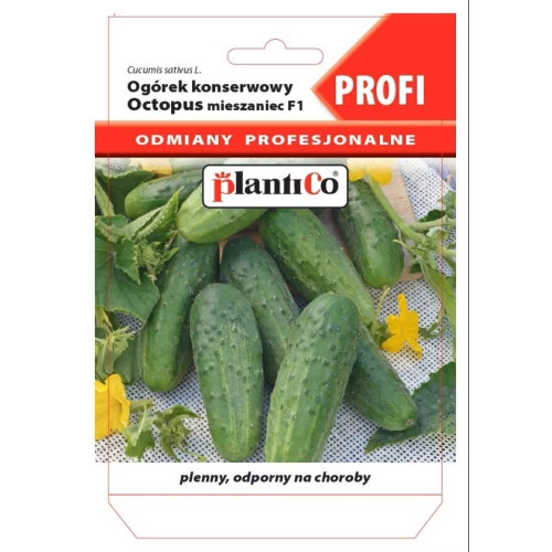 OGÓREK OCTOPUS F1 PROFI