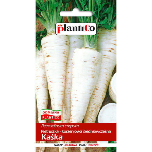 Pietruszka korzeniowa Kaśka 5g PlantiCo