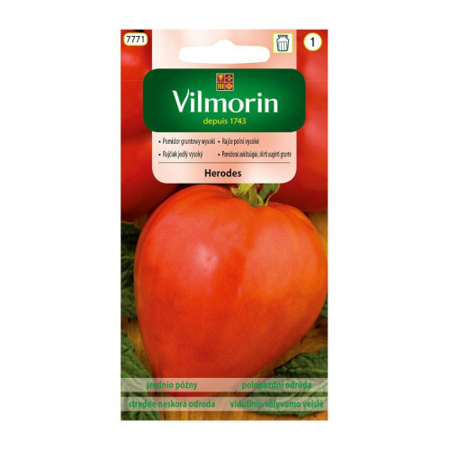 POMIDOR HERODES