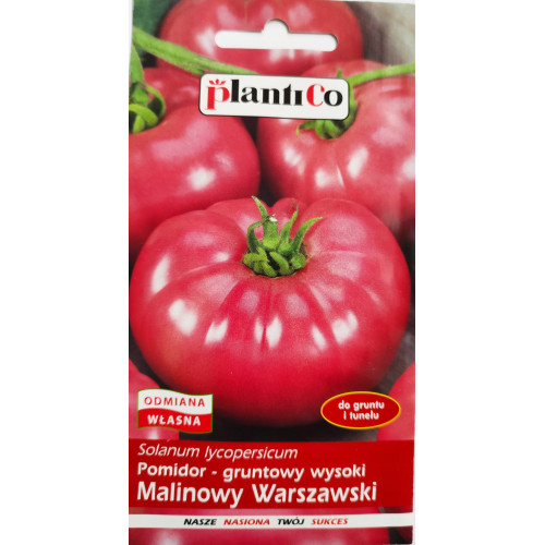 POMIDOR MALINOWY WARSZAWSKI