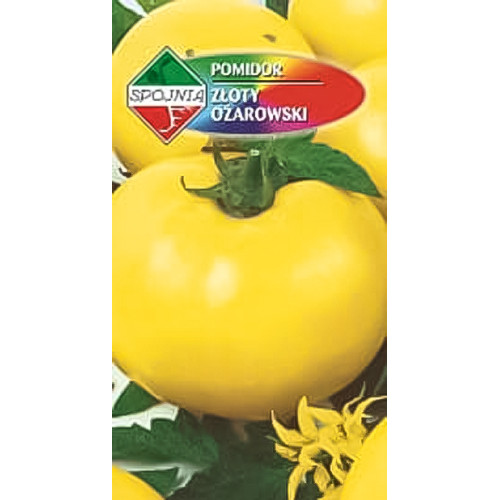 POMIDOR ZŁOTY OŻAROWSKI