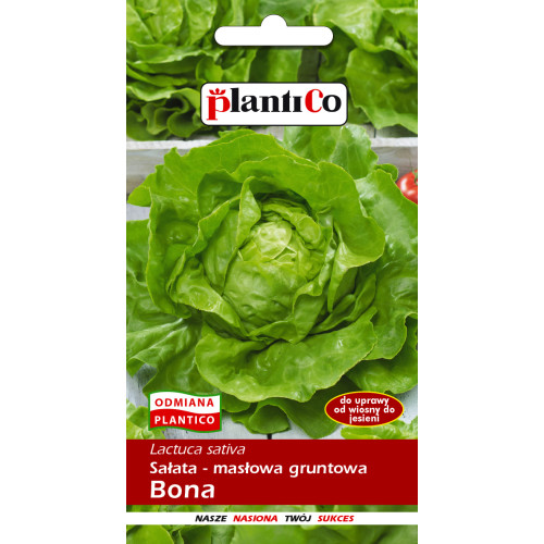 Sałata masłowa gruntowa Bona 1g 