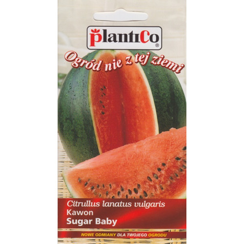 ARBUZ SUGAR BABY