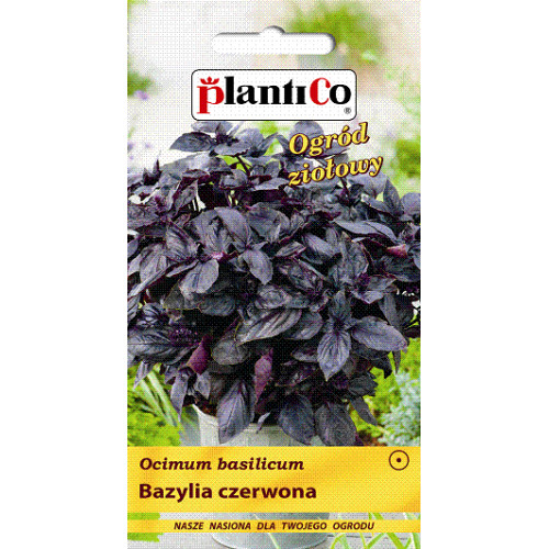 BAZYLIA CZERWONA