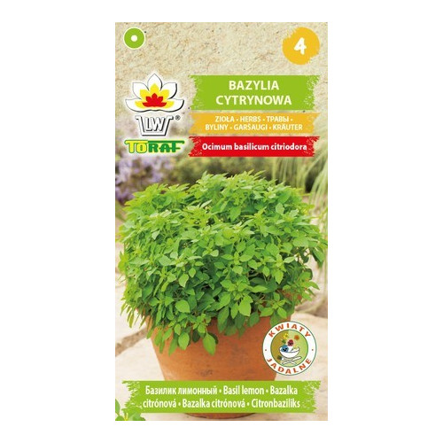 BAZYLIA CYTRYNOWA