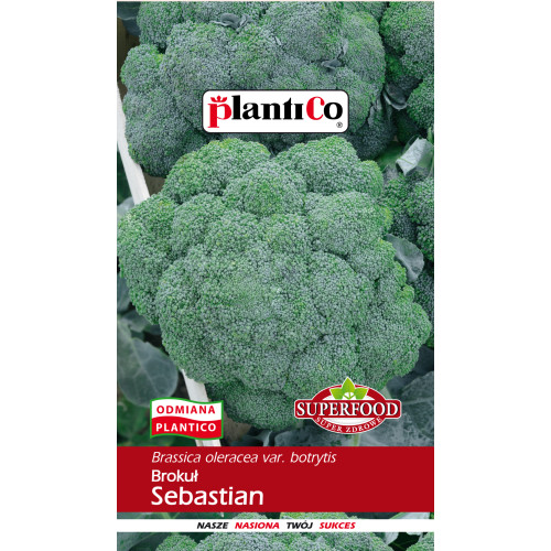Brokuł Sebastian 2g PlantiCo