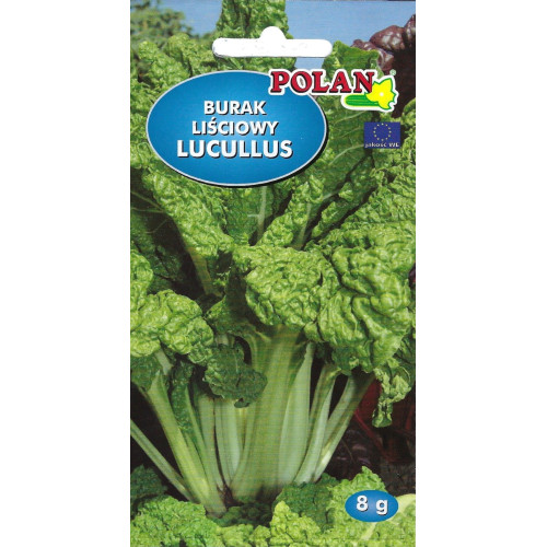 BURAK LIŚCIOWY LUCULLUS