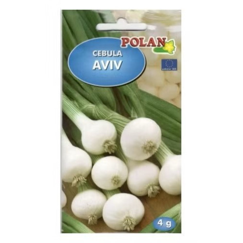CEBULA AVIV