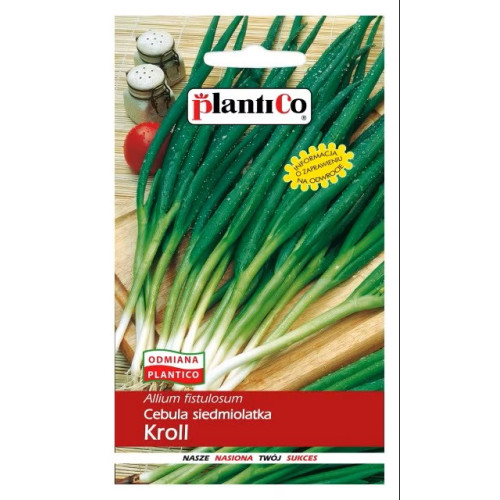 CEBULA SIEDMIOLATKA KROLL