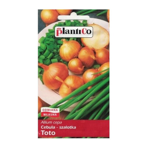 CEBULA SZALOTKA TOTO