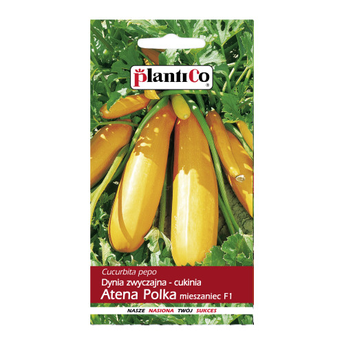 CUKINIA ATENA POLKA F1