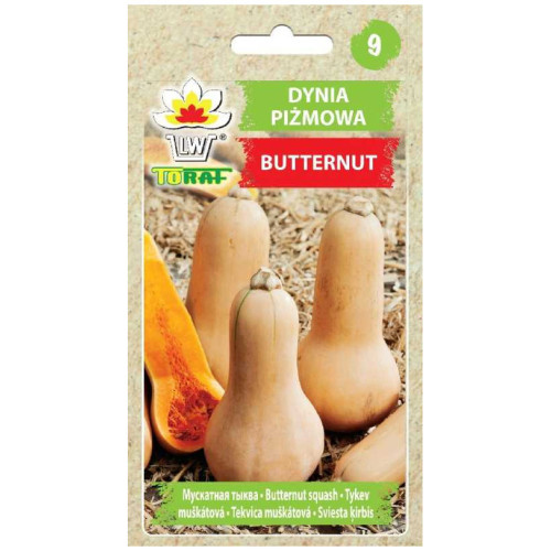 DYNIA EARLY BUTTERNUT