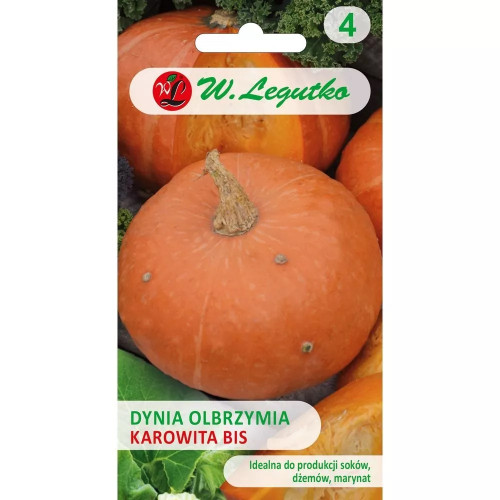 DYNIA OLBRZYMIA KAROWITA