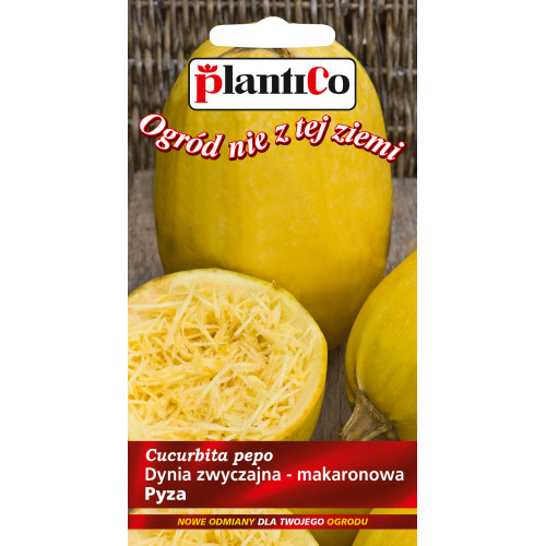 DYNIA PYZA MAKARONOWA