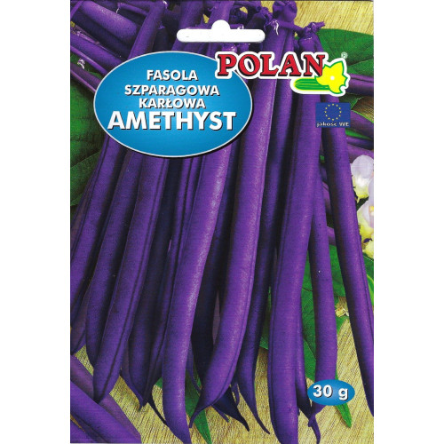 FASOLA AMETYST FIOLETOWA