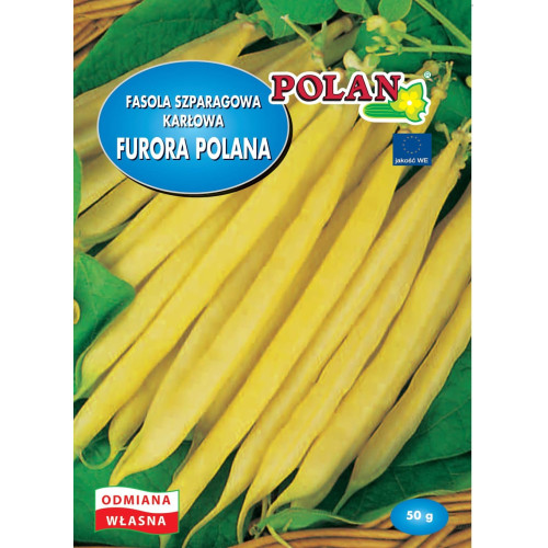 FASOLA FURORA POLANA