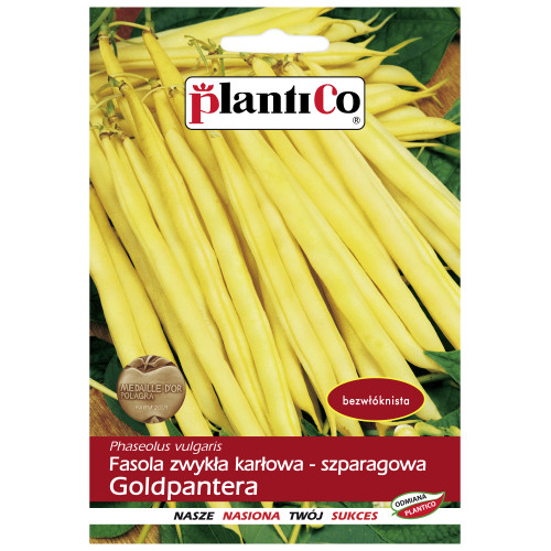 FASOLA GOLDPANTERA