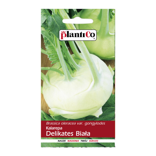 KALAREPA DELIKATES BIAŁA