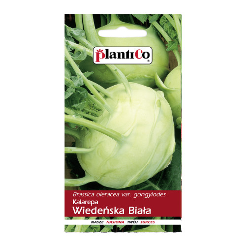 KALAREPA WIEDEŃSKA BIAŁA