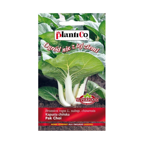 KAPUSTA CHIŃSKA PAC - CHOI