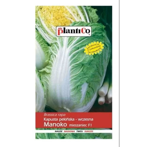 KAPUSTA PEKIŃSKA MANOKO F1