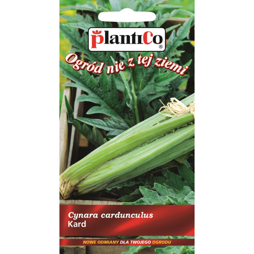 Kard Ivory White 1g PlantiCo