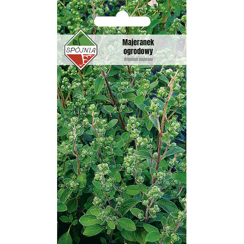 MAJERANEK OGRODOWY