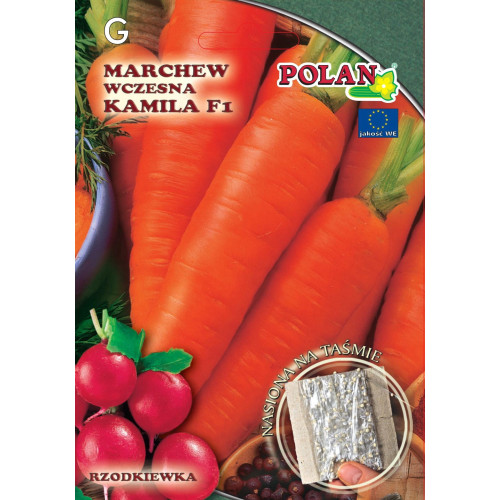 MARCHEW KAMILA F1 TAŚMA 6m