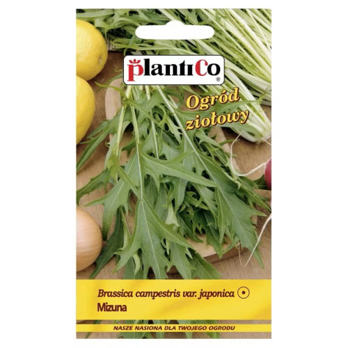 MIZUNA - MUSZTARDOWIEC
