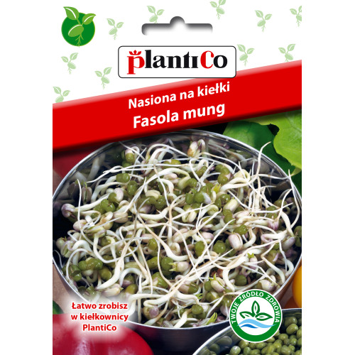 NASIONA NA KIEŁKI - FASOLA MUNGO 