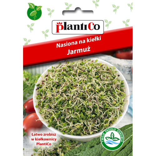 NASIONA NA KIEŁKI - JARMUŻ