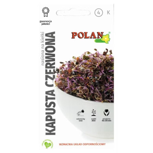 NASIONA NA KIEŁKI - KAPUSTA CZERWONA 