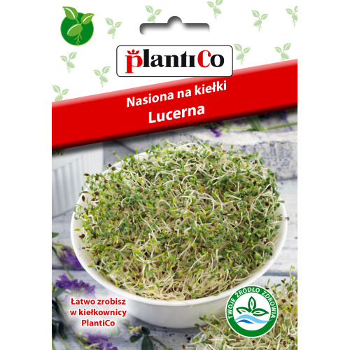 NASIONA NA KIEŁKI - LUCERNA