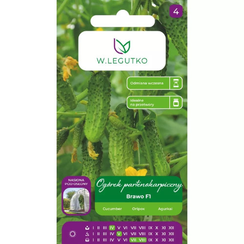 OGÓREK BRAWO F1 SZKLARNIOWY