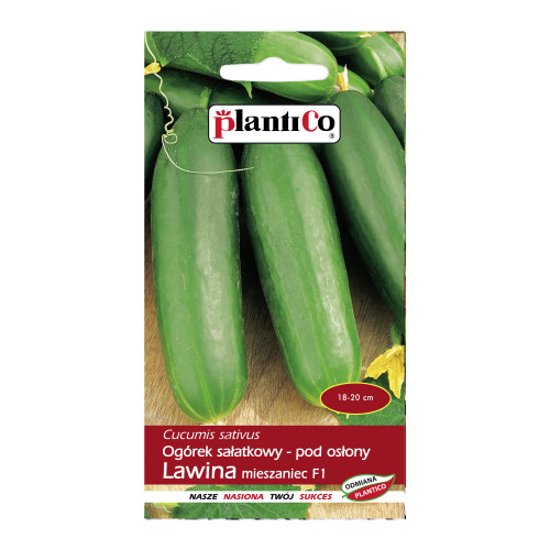 OGÓREK LAWINA SAŁATKOWY POD OSŁONY F1