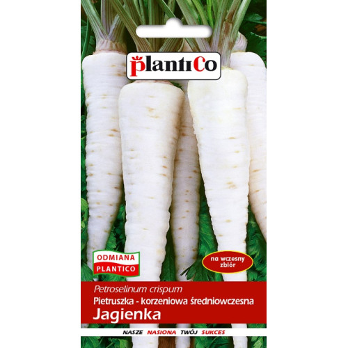 Pietruszka korzeniowa Jagienka 5g PlantiCo