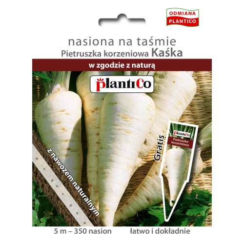 Pietruszka korzeniowa Kaśka TAŚMA PlantiCo