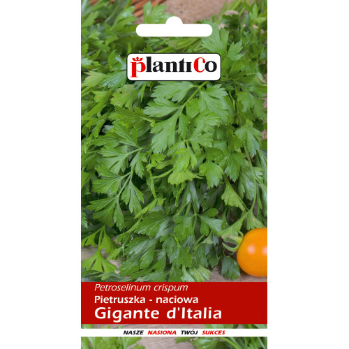 PIETRUSZKA NACIOWA GIGANTE ITALIA