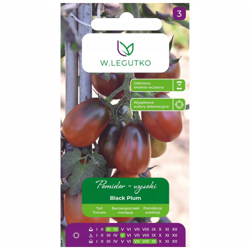POMIDOR BLACK PLUM