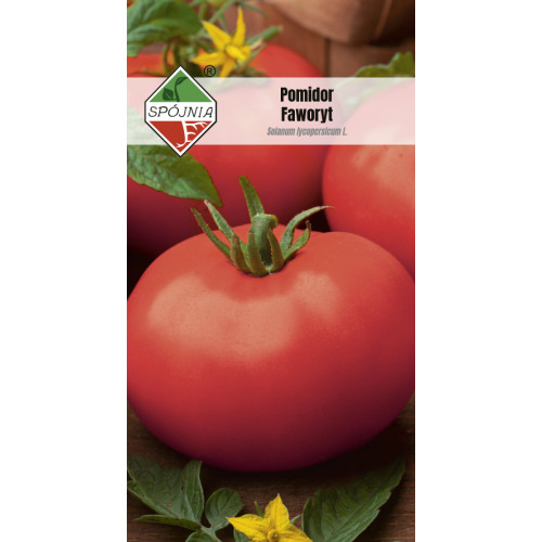 POMIDOR FAWORYT